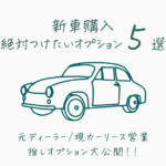 新車購入オプション5選